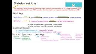 Understanding Diabetes Insipidus [upl. by Atok]