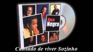 Cansado de Viver Sozinho  Raça Negra [upl. by Helena144]