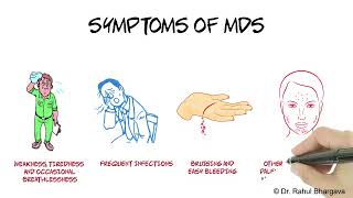 MDS Myelodysplastic Syndromes [upl. by Azpurua]