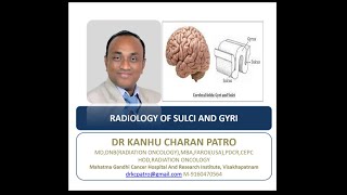 SULCI AND GYRI OF BRAIN [upl. by Fredi671]