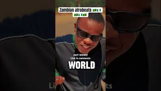 Zambian Afrobeats be like afrobeat rema victony victonytypebeat asake zambianmusic [upl. by Aicilf]