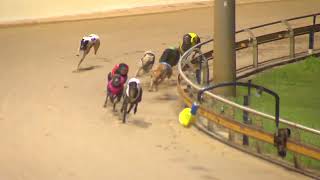 Rockhampton06112024Race6 [upl. by Adnahc]