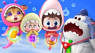 Its Not Food  Safety Rules  Baby Shark  Nursery Rhymes amp Kids Songs  BabyBus [upl. by Uzia785]