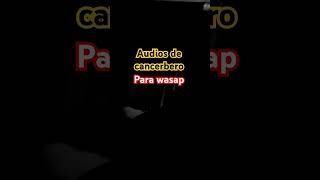 Audios de camcerbero para wasap hiphop freestyle fm23 [upl. by Benedic32]