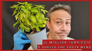 Il miglior terriccio per bonsai é quello che costa meno [upl. by Heman]