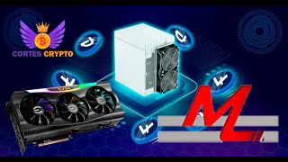 💎🚨COMO MINAR MUNDOTEAM  GPUS Y ASICS SCRYPT  HIVEOS Y SIMPLEMINING  NUEVA GEMA 🚨💎 [upl. by Cynthy]