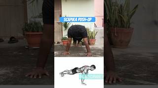 Scapula pushup  Shoulder and back pushupvariation pushup [upl. by Lindbom543]