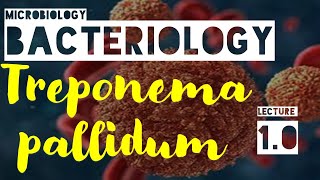 Treponema PallidumLecture 1MorphologyEpidemiology and TransmissionPathogenesis [upl. by Tadeo]