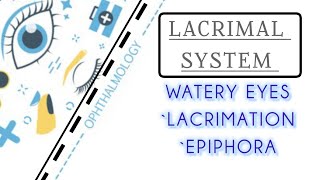 LACRIMAL SYSTEM LECTURE 5 WATERY EYES LACRIMATION amp EPIPHORA [upl. by Nuahsak230]