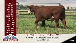 ehlke herefords lot 35 1080p [upl. by Galitea263]