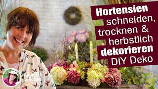 DIY Herstdekoration Hortensien schneiden dekorieren trocknen 2 Tischdeko Ideen selber machen [upl. by Asimaj]