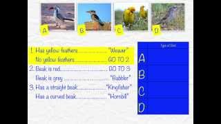 Using Dichotomous Keys [upl. by Bithia]