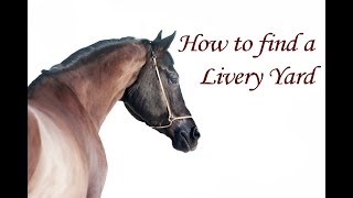 How to find a livery yard thats right for your horse [upl. by Eesac]