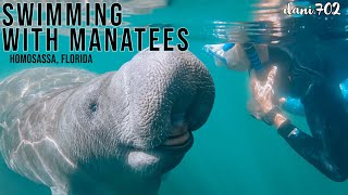 Swimming with Manatees in Florida  Homosassa River amp Crystal River Tours  Our Full Experience [upl. by Nim396]