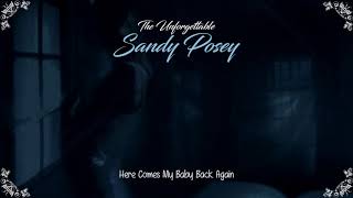 Sandy Posey  Here Comes My Baby Back Again HQ [upl. by Maitund]