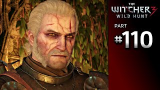 The Witcher 3 Wild Hunt Walkthrough Part 110 · Secondary Quest A Favor for Radovid [upl. by Sudaorb]