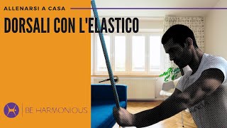 3 esercizi per i DORSALI con l’ELASTICO  Allenamento a casa  2 Livello semplice [upl. by Oran423]