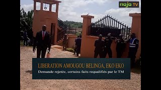 Libération de Amougou Belinga et Eko Eko [upl. by Cirilo685]