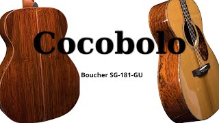 Boucher SG181GU  Cocobolo Acoustic Guitar [upl. by Anu]