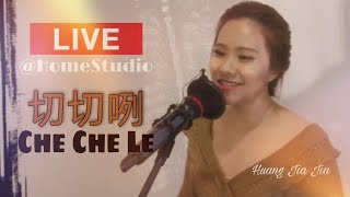 切切咧  李明洋  Che Che Le LIVE Studio At Home with Huang Jia Jia [upl. by Lothair790]