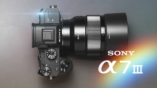 Sony A7III Review Should You Buy The Sony A7III in 2023 [upl. by Mastat]