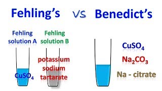 Difference between fehling and benedict test [upl. by Anailuj]