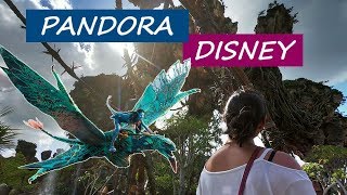 A MELHOR ATRAÇÃO do ANIMAL KINGDOM FLIGHT OF PASSAGE FULL RIDE [upl. by Glick]