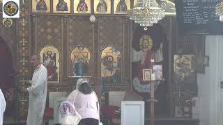 St George Coptic Orthodox Church in Maryland Live Stream [upl. by Mamie]