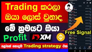 XM Gold Best Trading Strategy You can profit Everyday Sinhala  Earn money online Forex and crypto [upl. by Garceau150]