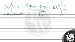 What is Gabriel phthalimide synthesis Why aromatic primary amines [upl. by Sivlek]