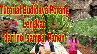 Tutorial Budidaya Porang Full dari Nol sampai Panen [upl. by Leihcim]