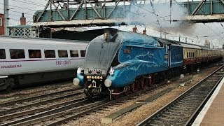 The Capital Streak  LNER A4 No 4464 Bittern Passing Doncaster  7th December 2013 [upl. by Arch]