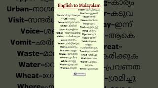 dailyuseenglishwords with malayalam meaning vocabulary spokenenglish learnenglishtranslation [upl. by Ovida24]