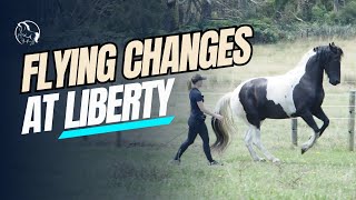 LIBERTY Training FLYING CHANGES [upl. by Karmen703]