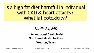 Dr Nadir Ali presentation High Fat Diets Heart Attacks and Lipotoxicity [upl. by Shedd509]