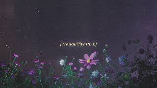 Tranquillity Pt 2  lofi hip hop beat FREE FOR PROFIT USE [upl. by Eirod]