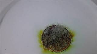 Coin in peracetic acid reaction [upl. by Arabela]