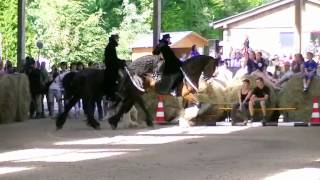 Shire Horse Landeszuchtschau RheinlandPfalz 2012  Pas des Deux mit Shire und Friese [upl. by Horn994]