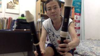 My new Aulos tenor recorder [upl. by Finn]