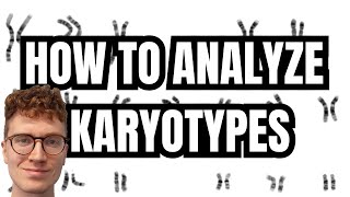 KARYOTYPE ANALYSIS [upl. by Anirual]