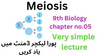 meiosis  9th class biology  9th [upl. by Hobart]