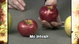 Learning About Apple Varieties [upl. by Chandra]