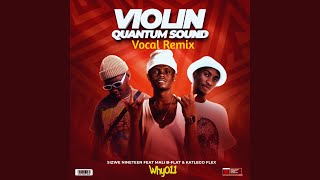 Why011 amp Sizwe Nineteen  Violin Quantum Sound Vocal Remix feat Mali BFlat amp Katlego Flex [upl. by Pavia]