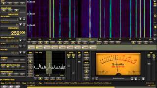 252 KHz Algeria  Longwave DX  Perseus SDR from Michigan [upl. by Ennahoj]