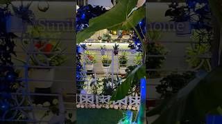 My Garden Overviews festiveseason diwalispecial homedecor sunilassweethome [upl. by Ellebana]