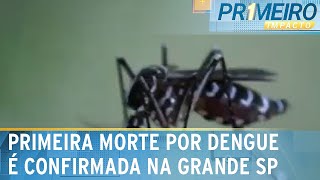 Secretaria de Saúde confirma 1ª morte por dengue em SP  Primeiro Impacto 070224 [upl. by Latoniah]