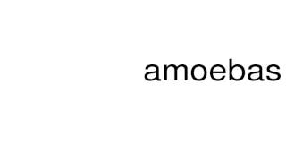 How to pronounce amoebas [upl. by Frisse516]