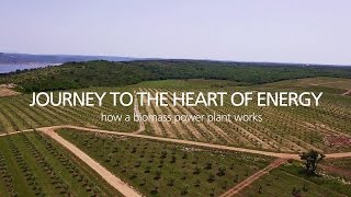 Journey to the heart of Energy  How a biomass power plant works [upl. by Ozner586]