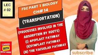 Ch14  Transportation  Lec 02  PROCESSES INVOLVED IN THE ABSORPTION BY ROOTSFSc Biology part 1 [upl. by Aramit]