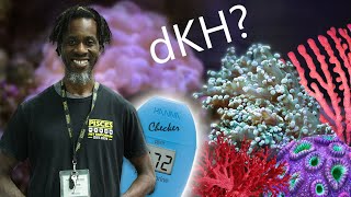 Testing Alkalinity in your Reef Aquarium with Hanna dKH Checker [upl. by Negriv402]